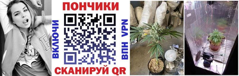 магазин  наркотиков  блэк спрут зеркало  МАРИХУАНА VHQ  Благодарный 